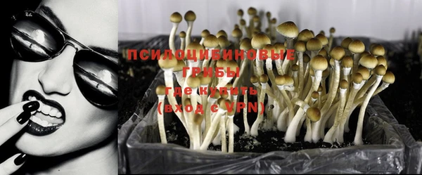 спайс Аркадак